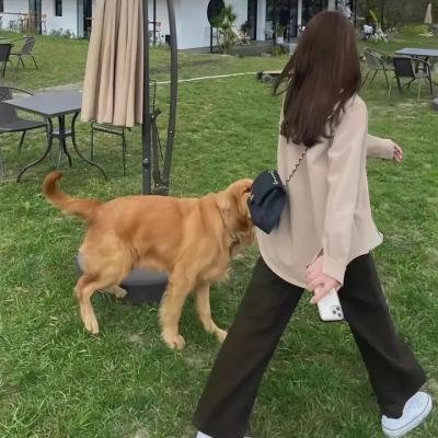 疯狂上路